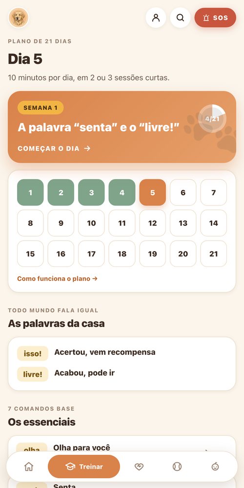 Comandos e problemas