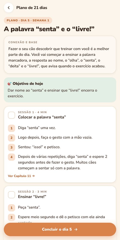 Plano do dia